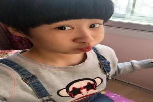 蚕头燕尾图片大全